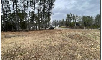 5166 Star Magnolia Ct, Clover, SC 29710