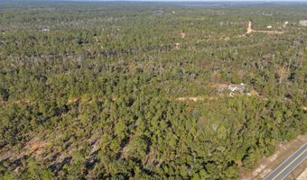 Lot 11 Nebraska Circle, Alford, FL 32420