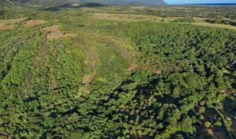 6565- C KOOLAU Rd, Anahola, HI 96746