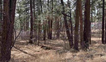 102 E Valley View Dr, Bayfield, CO 81122