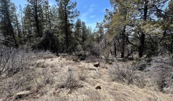 Nighthawk Drive lot 19, Bonanza, OR 97623