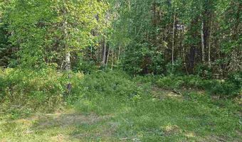9240 Murray Rd, Angora, MN 55703