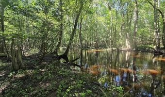 247 Horseshoe Trl, Barnwell, SC 29812