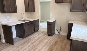 1009 N Mingo St, Albion, MI 49224