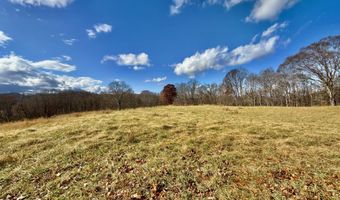 1520 Brittontown Rd, Afton, TN 37616