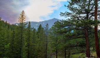1217 Big Owl Rd, Allenspark, CO 80510