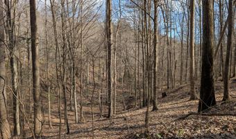 9999 Tip Top Rd, Beattyville, KY 41311