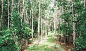 14917 NW COUNTY ROAD 237, Alachua, FL 32615