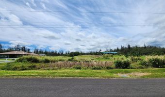 1531 KAUALEHUA Pl, Hilo, HI 96720