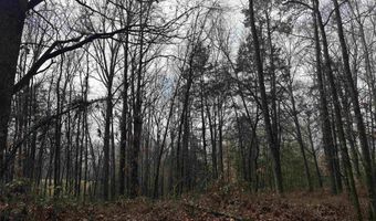 67 Old Wire Rd, Atkins, AR 72823