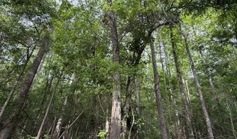 Fowler Road, Ashford, AL 36312