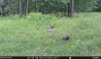 1271 A Tunnel Ridge Rd, Argillite, KY 41121