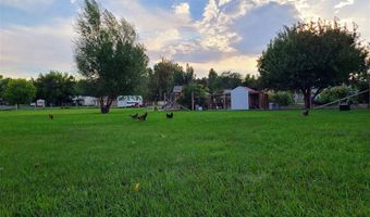 415 Holdrege Ave, Basin, WY 82410