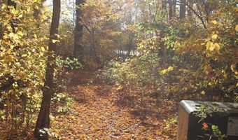 VL Lake Dr lot 174/175, Allegan, MI 49010