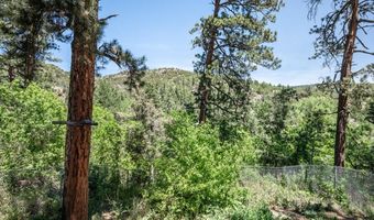 8951 Grand Ave, Beulah, CO 81023
