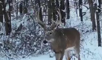 197 Th Trl, Albia, IA 52531