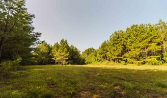 235 Woodrow Martin Rd, Brandon, MS 39042
