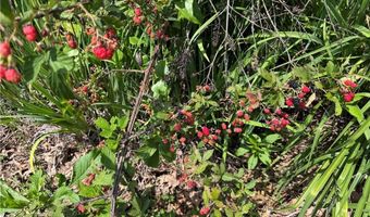 315 Woody Rd NW, Adairsville, GA 30103