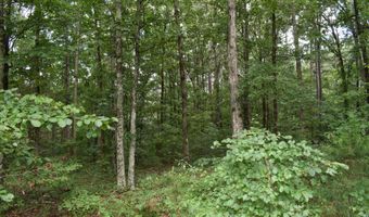 305 Minor Bridge Rd, Ashland, MS 38603