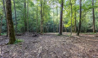 23 59 Ac Chestnut Flats Rd, Andrews, NC 28901