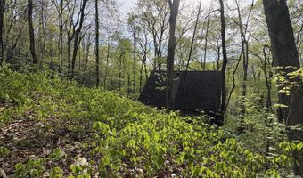 999999 Harwood Rd, Barnardsville, NC 28709