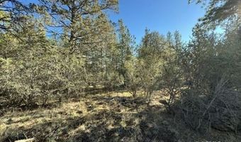 Bunting Drive, Bonanza, OR 97623