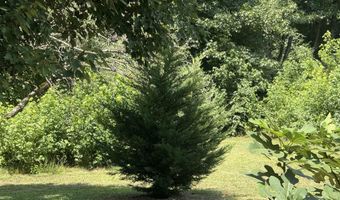 234 Randallwood Dr, Hot Springs, AR 71901