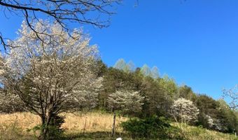 679 New Hope Church Rd, Barbourville, KY 40906