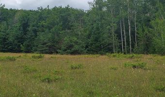 V/L 20AC Monaghan Point Road, Alpena, MI 49707