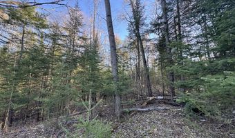 V/L Wildwood Road lot 1, Alger, MI 48610