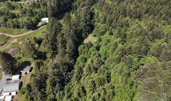 20452 Whaleshead Rd, Brookings, OR 97415