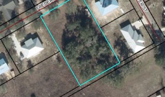 3581 Frederick Ave, Bell, FL 32619