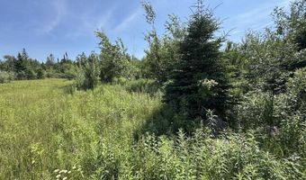 2254 E M30, Alger, MI 48610