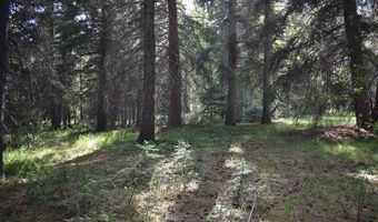 Vallecito Pl, Bayfield, CO 81122
