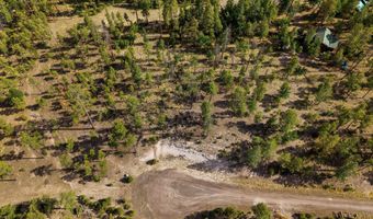 CR 2193, Alpine, AZ 85920