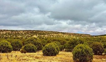 Tbd Co Rd 8256 Lot C 10 Acres, Concho, AZ 85924