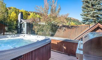 945 E Cooper Ave, Aspen, CO 81611