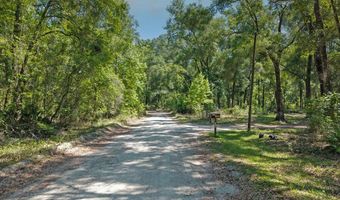 4509 NW 63rd Ter, Bell, FL 32619