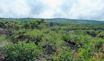 87-3179 HONU HIAMOE Rd, Captain Cook, HI 96704