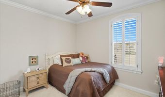 524 Springhill Xing, Brandon, MS 39047