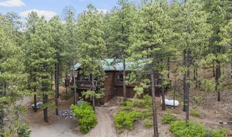203 Hilltop Dr, Bayfield, CO 81122