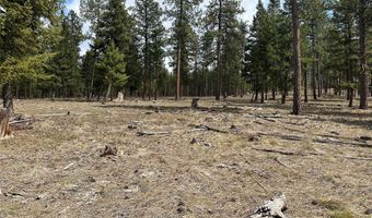 31760 HWY 10 W, Alberton, MT 59820
