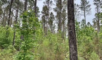 0020 Mount Carmel Rd, Bailey, MS 39320