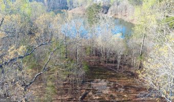 Purvis Road, Baldwin, GA 30511