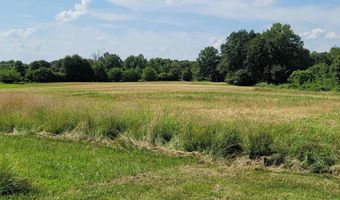 3993 GREENRIDGE Rd, Alma, IL 62807