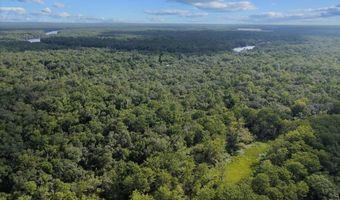 0000 73rd Way, Bell, FL 32619