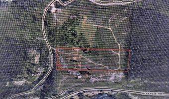 91737 BLUE RIVER RESERVOIR Rd, Blue River, OR 97413