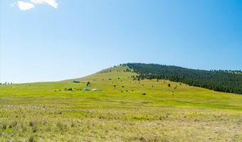 NHN Walking Horse Lane, Big Arm, MT 59910