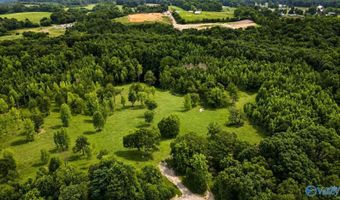 58 Acres Naples Ln, Arab, AL 35016