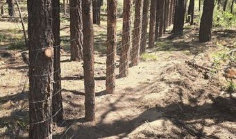 Smith Drive lot 5, Beatty, OR 97621